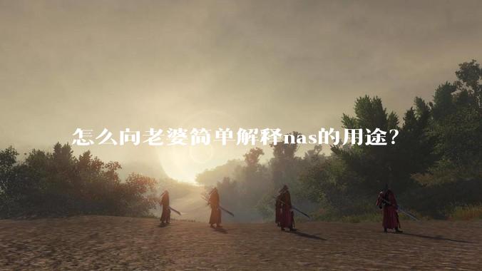 怎么向老婆简单解释nas的用途？