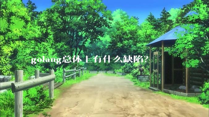 golang总体上有什么缺陷？