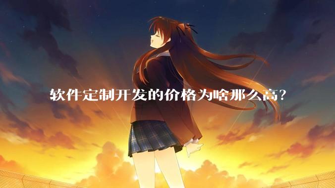 软件定制开发的价格为啥那么高？