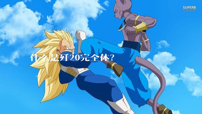 什么是歼20完全体？
