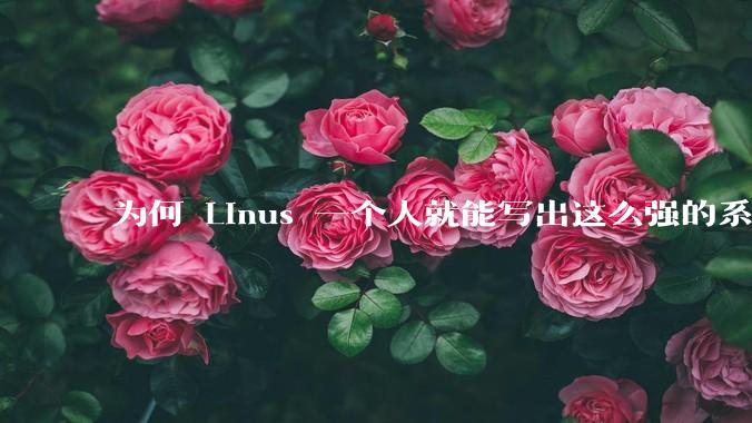 为何 Linus 一个人就能写出这么强的系统，中国却做不出来？